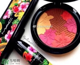 mac2017夏季fruity juicy系列有哪些？