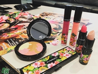 mac2017夏季fruity juicy系列有哪些？