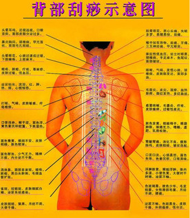 背部怎么刮痧視頻？背部刮痧手法視頻