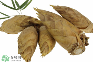 竹筍什么時候長出來？竹筍幾月份長出來？