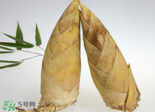 竹筍什么時候長出來？竹筍幾月份長出來？