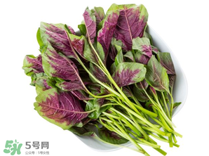 孕婦能吃莧菜嗎？孕婦可以吃莧菜嗎？