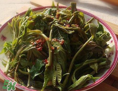 香椿要過(guò)水嗎？香椿怎么過(guò)水？