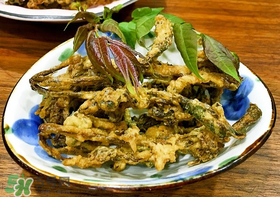 香椿什么時(shí)候吃？香椿什么時(shí)候不能吃？