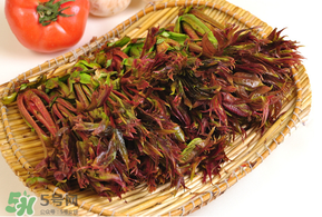 香椿什么時(shí)候吃？香椿什么時(shí)候不能吃？