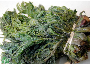 香椿腌制多久可以吃？香椿腌多長時間能吃？