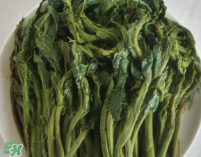 香椿腌制多久可以吃？香椿腌多長時間能吃？