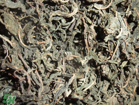 香椿可以曬干嗎？香椿怎么曬干？