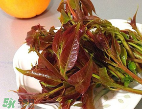 香椿可以冷凍嗎？香椿凍了能吃嗎？