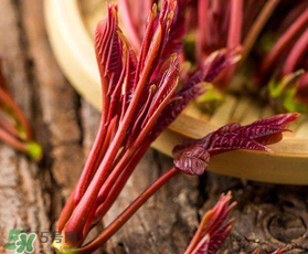 香椿能放冰箱嗎？香椿放冰箱能保存多久？