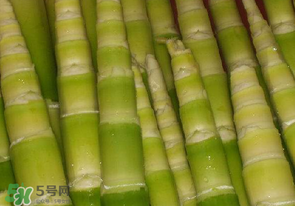 竹筍不焯水有毒嗎？竹筍不過水能吃嗎？