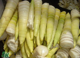竹筍有毒嗎？吃竹筍會(huì)中毒嗎？