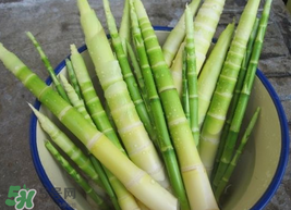 竹筍能放冰箱嗎？竹筍放冰箱怎么保存？