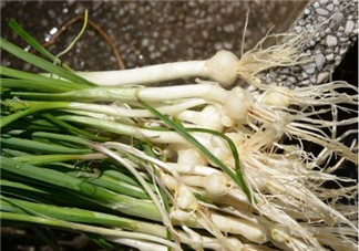 小根蒜孕婦能吃嗎？小根蒜孕婦可以吃嗎？