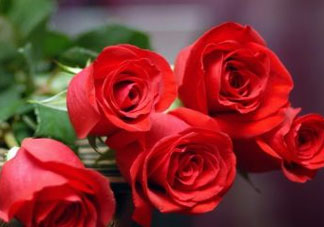 五月份什么花開？五月份開什么花？