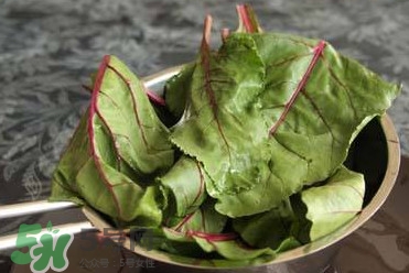 甜菜葉是否可以生吃？甜菜葉可以生吃嗎