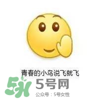 一葉子和百雀羚哪個(gè)好？一葉子和百雀羚面膜對(duì)比