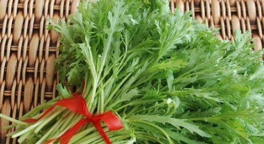 苦苦菜是什么菜？苦苦菜是苦苣嗎