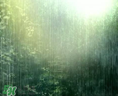 四月份會(huì)一直下雨嗎？2017年四月份為什么一直下雨？