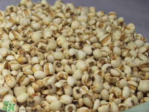 孕婦能吃薏米嗎？孕婦可以吃薏米嗎？