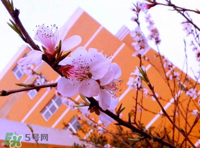 2017年四月份天氣如何？2017年四月份天氣預(yù)報