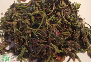 涼拌香椿要過水嗎？香椿涼拌前需要用開水焯一下嗎？