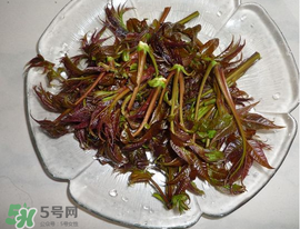 涼拌香椿要過水嗎？香椿涼拌前需要用開水焯一下嗎？