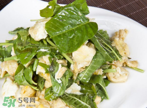 香椿可以生吃嗎？香椿能生吃嗎？