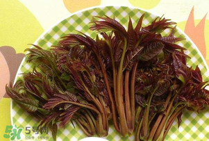 香椿芽可以冷凍嗎？香椿芽怎么冷凍？