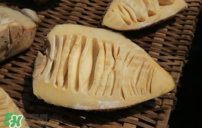 竹筍什么時候有？竹筍什么時候最好吃？