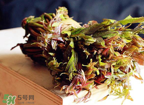 香椿很貴嗎？香椿為什么那么貴？