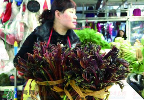 香椿很貴嗎？香椿為什么那么貴？