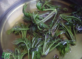 香椿為什么要用開水燙？香椿用開水燙多久？