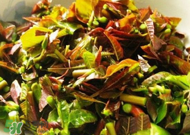 香椿為什么要用開水燙？香椿用開水燙多久？