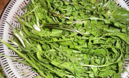 地菜是什么菜？地菜是不是薺菜