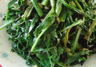 苦苦菜是什么菜？苦苦菜是苦苣嗎