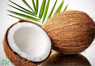 椰青和椰皇的區(qū)別 椰青和椰皇哪個(gè)好？