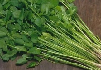 水芹菜是什么菜？水芹菜是野芹菜嗎