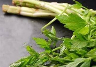 水芹菜的葉子可以吃嗎？水芹菜葉子能吃嗎
