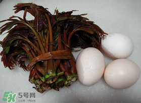 哺乳期可以吃香椿炒雞蛋嗎？哺乳期可以吃香椿炒雞蛋嗎？