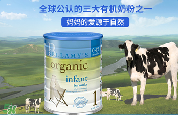 貝拉米奶粉報價多少？貝拉米奶粉價格多少？