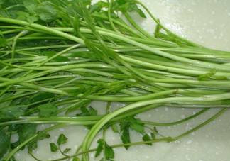 水芹菜有毒嗎？水芹菜有沒(méi)有毒