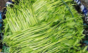 水芹菜怎么吃？水芹菜的做法