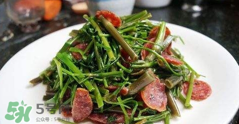 水芹菜孕婦能吃嗎？懷孕的人可以吃水芹菜嗎