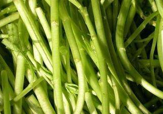 藜蒿葉子為什么不能吃？藜蒿葉子為什么不可以吃