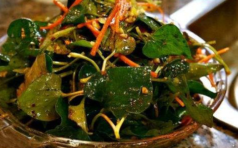 魚腥草根和葉哪個好？魚腥草根好還是葉子好