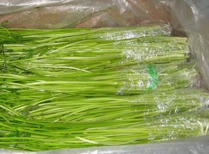 水芹菜如何保鮮？水芹菜怎么保鮮
