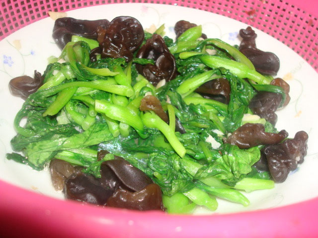 雞毛菜是什么菜？雞毛菜是小白菜嗎