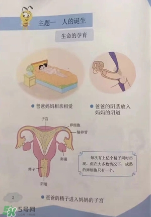 孩子瀏覽成人網(wǎng)站怎么辦？小學性教育有沒有必要？