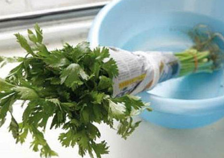 水芹菜如何保鮮？水芹菜怎么保鮮